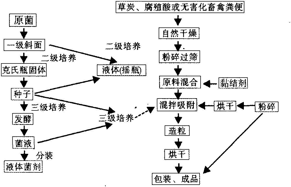 磷细菌肥料